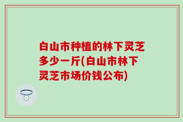 白山市种植的林下灵芝多少一斤(白山市林下灵芝市场价钱公布)
