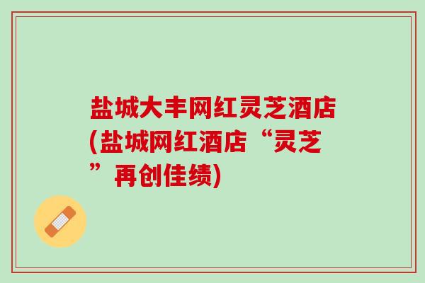 盐城大丰网红灵芝酒店(盐城网红酒店“灵芝”再创佳绩)