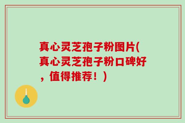 真心灵芝孢子粉图片(真心灵芝孢子粉口碑好，值得推荐！)