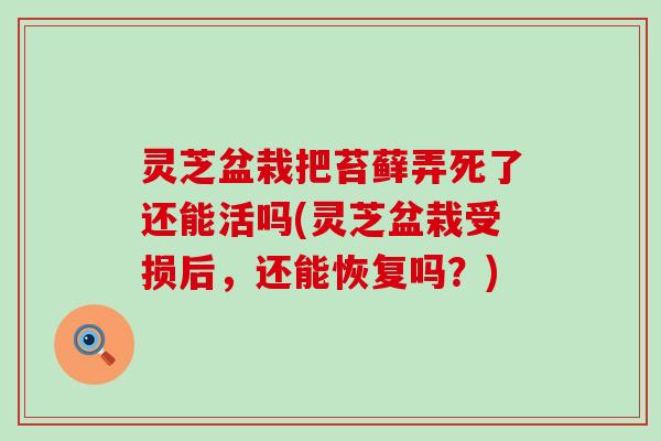 灵芝盆栽把苔藓弄死了还能活吗(灵芝盆栽受损后，还能恢复吗？)