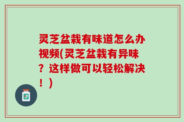 灵芝盆栽有味道怎么办视频(灵芝盆栽有异味？这样做可以轻松解决！)