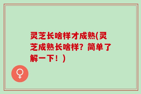 灵芝长啥样才成熟(灵芝成熟长啥样？简单了解一下！)