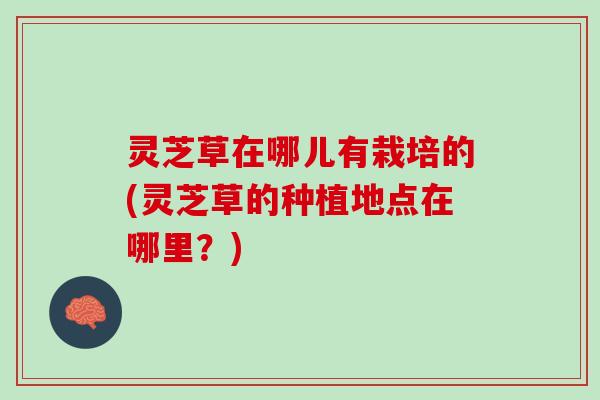 灵芝草在哪儿有栽培的(灵芝草的种植地点在哪里？)
