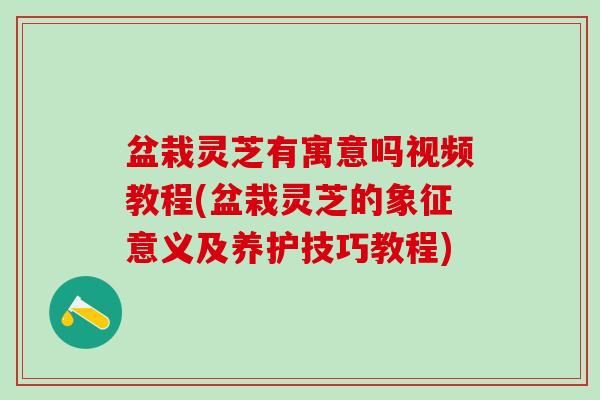 盆栽灵芝有寓意吗视频教程(盆栽灵芝的象征意义及养护技巧教程)
