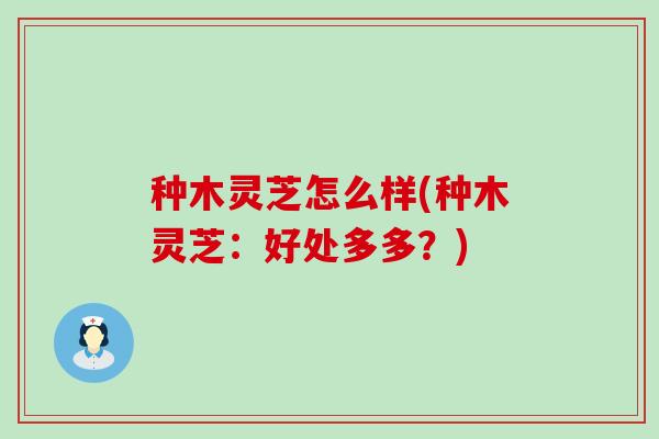 种木灵芝怎么样(种木灵芝：好处多多？)