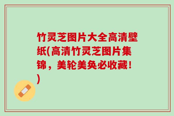 竹灵芝图片大全高清壁纸(高清竹灵芝图片集锦，美轮美奂必收藏！)