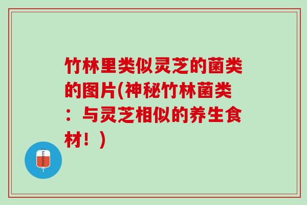 竹林里类似灵芝的菌类的图片(神秘竹林菌类：与灵芝相似的养生食材！)