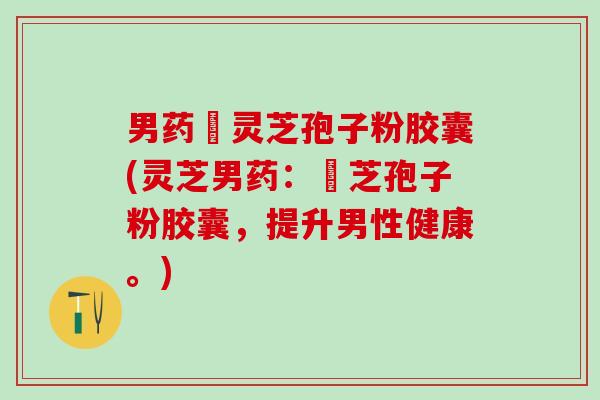 男药壂灵芝孢子粉胶囊(灵芝男药：壂芝孢子粉胶囊，提升男性健康。)