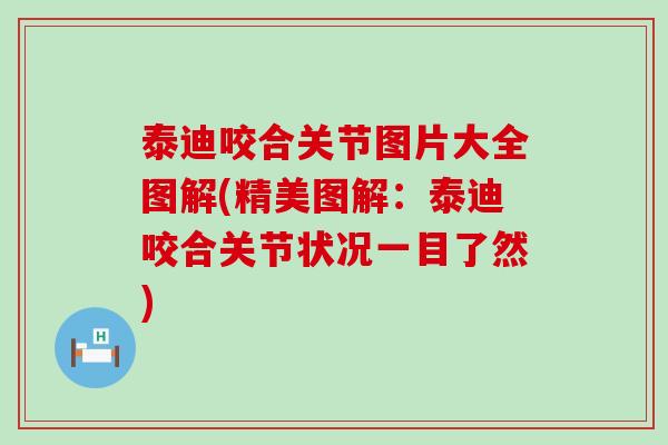 泰迪咬合关节图片大全图解(精美图解：泰迪咬合关节状况一目了然)