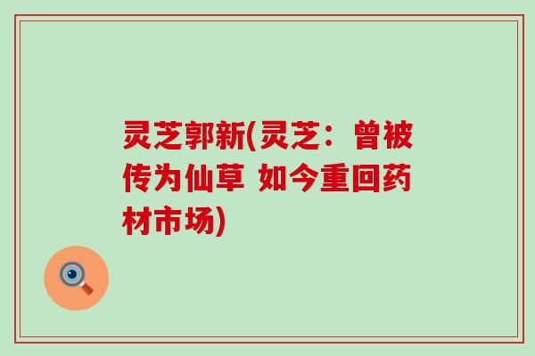 灵芝郭新(灵芝：曾被传为仙草 如今重回药材市场)