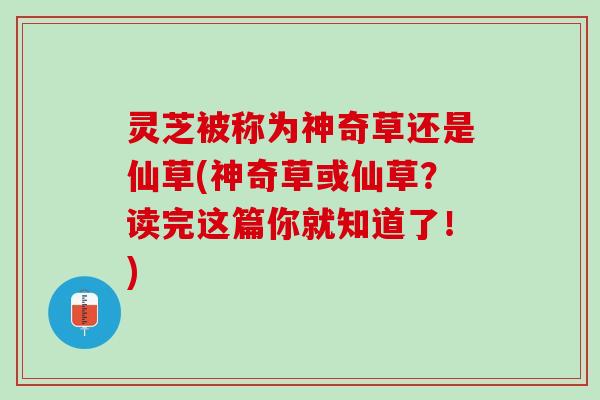 灵芝被称为神奇草还是仙草(神奇草或仙草？读完这篇你就知道了！)