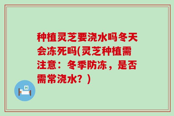 种植灵芝要浇水吗冬天会冻死吗(灵芝种植需注意：冬季防冻，是否需常浇水？)