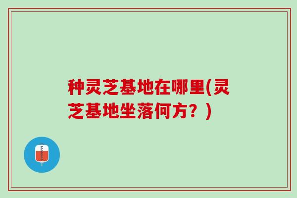 种灵芝基地在哪里(灵芝基地坐落何方？)