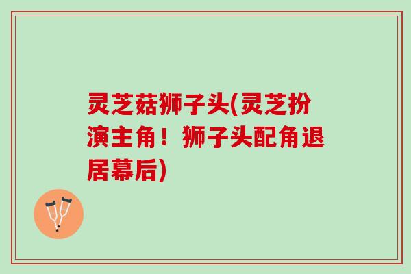 灵芝菇狮子头(灵芝扮演主角！狮子头配角退居幕后)