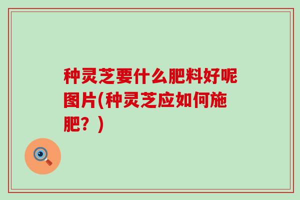 种灵芝要什么肥料好呢图片(种灵芝应如何施肥？)