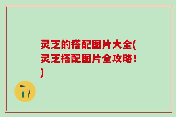 灵芝的搭配图片大全(灵芝搭配图片全攻略！)