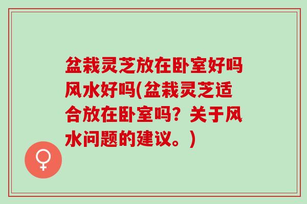 盆栽灵芝放在卧室好吗风水好吗(盆栽灵芝适合放在卧室吗？关于风水问题的建议。)
