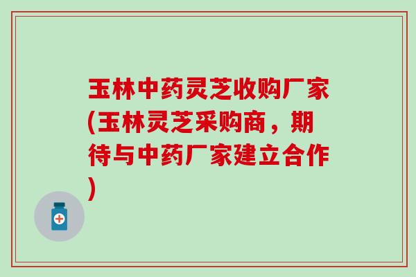 玉林中药灵芝收购厂家(玉林灵芝采购商，期待与中药厂家建立合作)