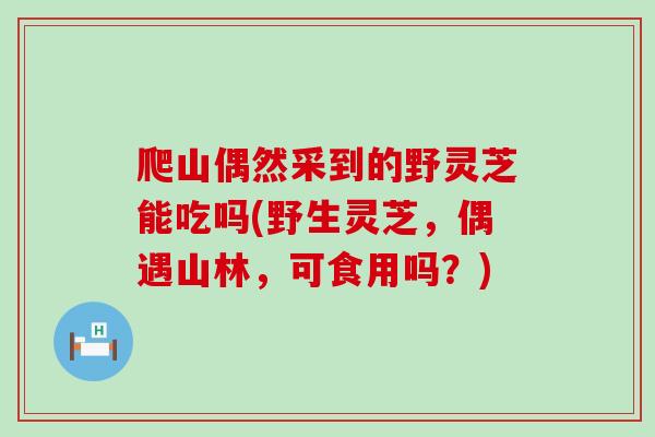 爬山偶然采到的野灵芝能吃吗(野生灵芝，偶遇山林，可食用吗？)