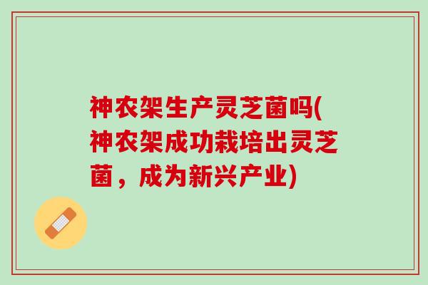 神农架生产灵芝菌吗(神农架成功栽培出灵芝菌，成为新兴产业)