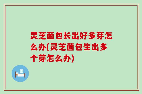 灵芝菌包长出好多芽怎么办(灵芝菌包生出多个芽怎么办)
