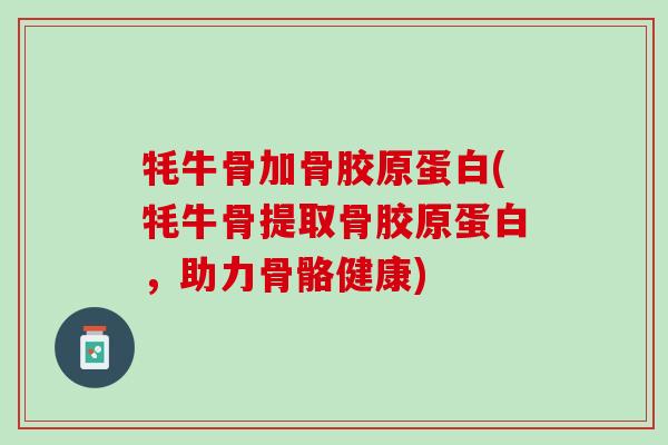 牦牛骨加骨胶原蛋白(牦牛骨提取骨胶原蛋白，助力骨骼健康)