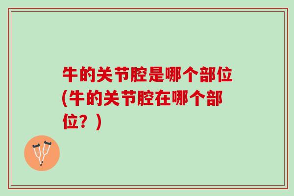 牛的关节腔是哪个部位(牛的关节腔在哪个部位？)