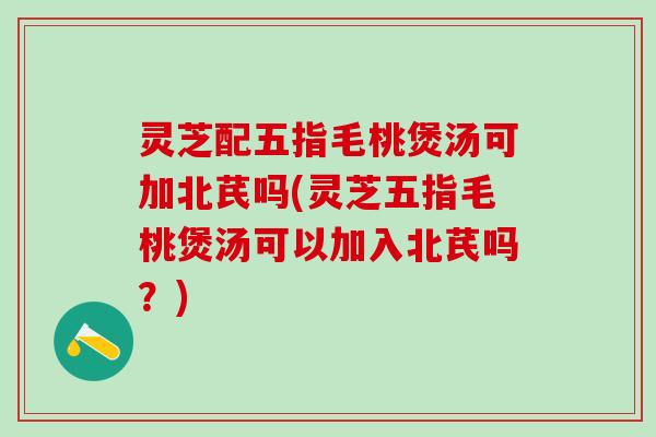 灵芝配五指毛桃煲汤可加北芪吗(灵芝五指毛桃煲汤可以加入北芪吗？)
