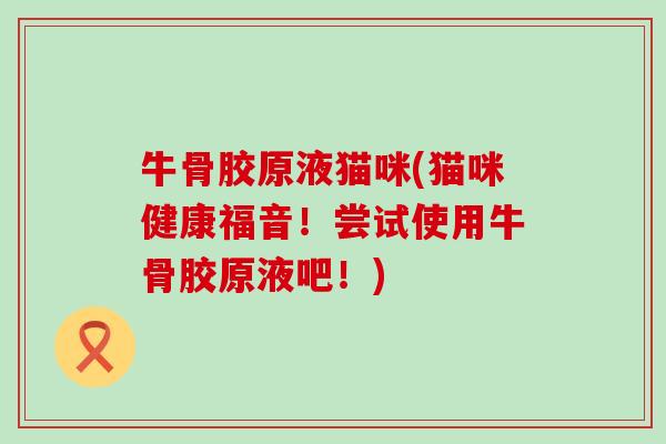 牛骨胶原液猫咪(猫咪健康福音！尝试使用牛骨胶原液吧！)