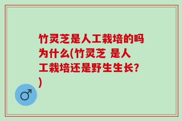 竹灵芝是人工栽培的吗为什么(竹灵芝 是人工栽培还是野生生长？)