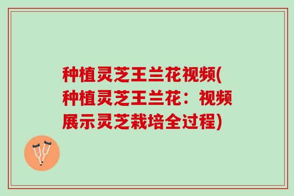 种植灵芝王兰花视频(种植灵芝王兰花：视频展示灵芝栽培全过程)