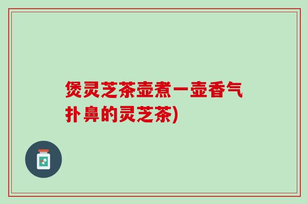 煲灵芝茶壶煮一壶香气扑鼻的灵芝茶)
