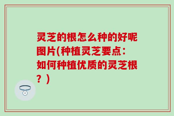 灵芝的根怎么种的好呢图片(种植灵芝要点：如何种植优质的灵芝根？)