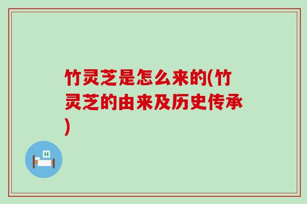 竹灵芝是怎么来的(竹灵芝的由来及历史传承)