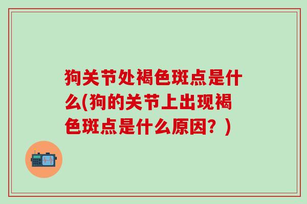 狗关节处褐色斑点是什么(狗的关节上出现褐色斑点是什么原因？)