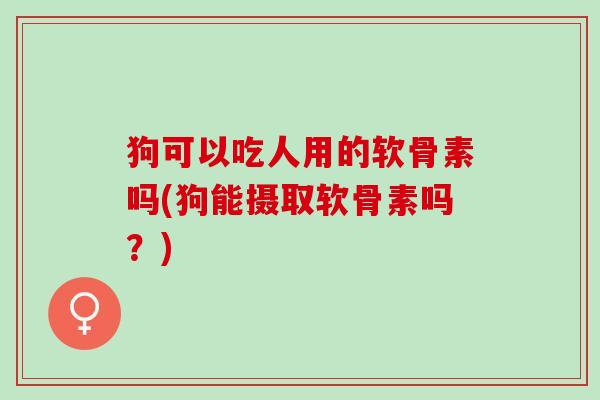 狗可以吃人用的软骨素吗(狗能摄取软骨素吗？)