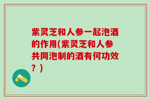 紫灵芝和人参一起泡酒的作用(紫灵芝和人参共同泡制的酒有何功效？)
