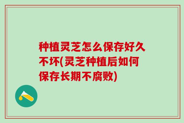 种植灵芝怎么保存好久不坏(灵芝种植后如何保存长期不腐败)