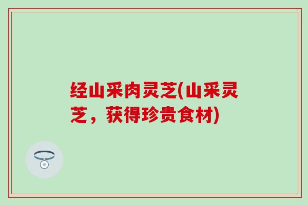 经山采肉灵芝(山采灵芝，获得珍贵食材)