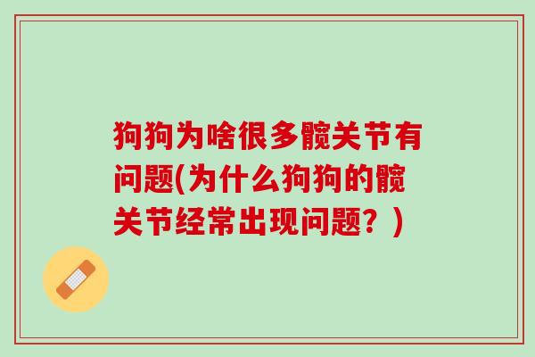 狗狗为啥很多髋关节有问题(为什么狗狗的髋关节经常出现问题？)