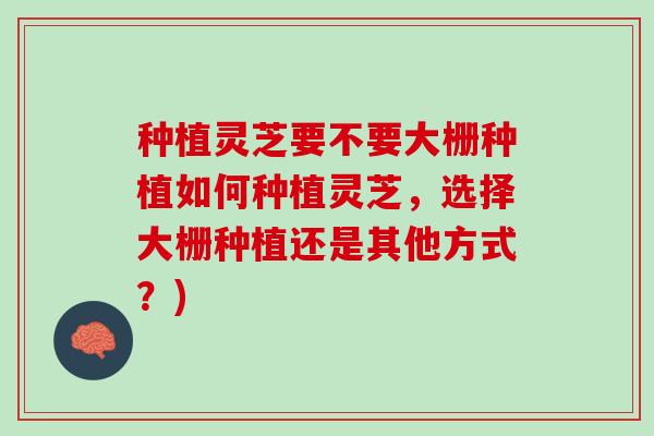 种植灵芝要不要大栅种植如何种植灵芝，选择大栅种植还是其他方式？)