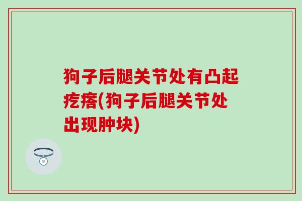 狗子后腿关节处有凸起疙瘩(狗子后腿关节处出现肿块)