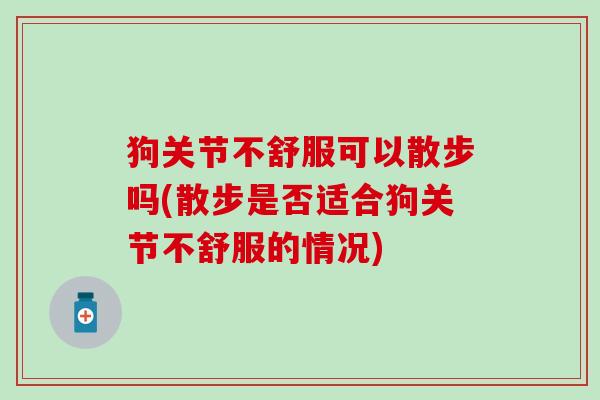 狗关节不舒服可以散步吗(散步是否适合狗关节不舒服的情况)