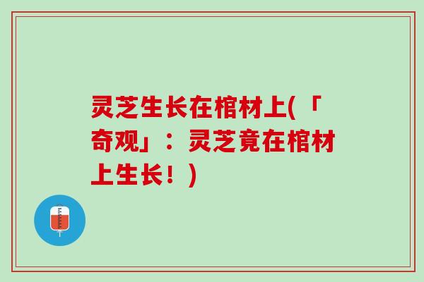 灵芝生长在棺材上(「奇观」：灵芝竟在棺材上生长！)