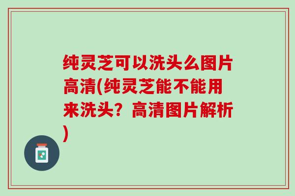 纯灵芝可以洗头么图片高清(纯灵芝能不能用来洗头？高清图片解析)