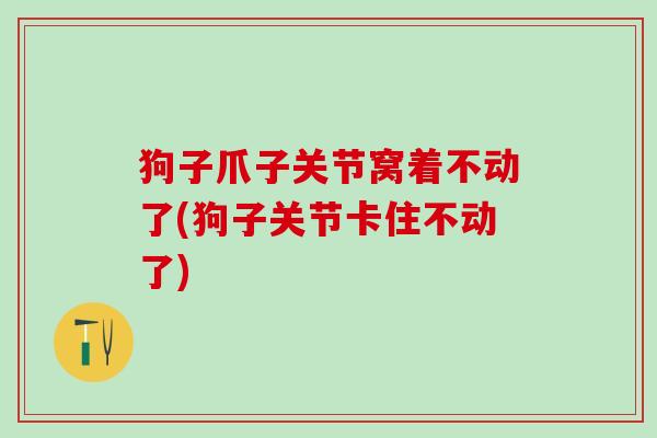 狗子爪子关节窝着不动了(狗子关节卡住不动了)