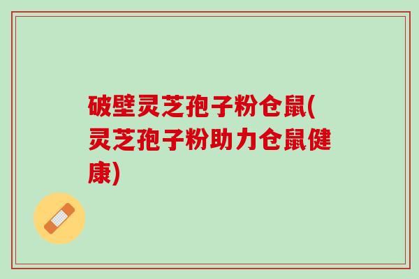 破壁灵芝孢子粉仓鼠(灵芝孢子粉助力仓鼠健康)