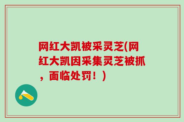 网红大凯被采灵芝(网红大凯因采集灵芝被抓，面临处罚！)