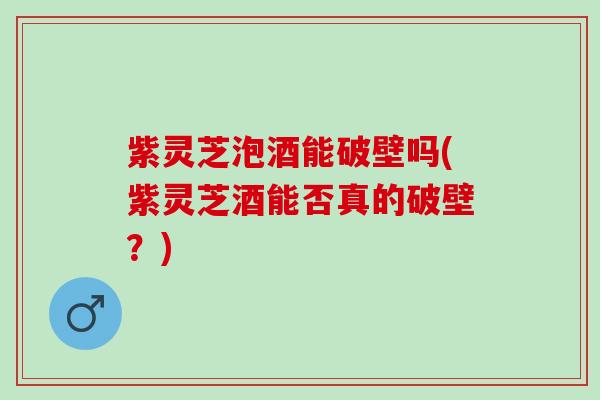 紫灵芝泡酒能破壁吗(紫灵芝酒能否真的破壁？)