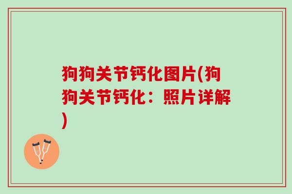 狗狗关节钙化图片(狗狗关节钙化：照片详解)